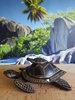 Schildkröten-Schale mit Deckel (15cm)